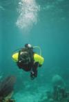 Diving Nassau