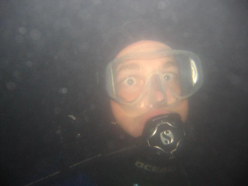 Night Dive (Stonington Point, July 2008)