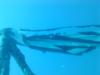 US Flag on the Vandenburg wreck