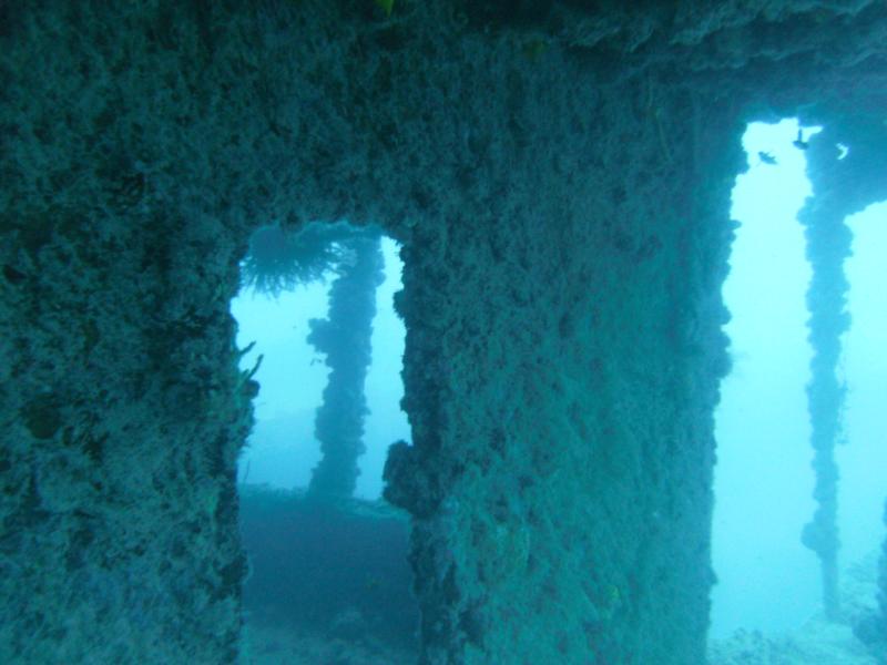 Thunderbolt Wreck - Marathon Key, FL