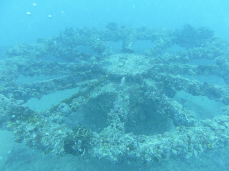 Thunderbolt wreck - Marathon Key, FL