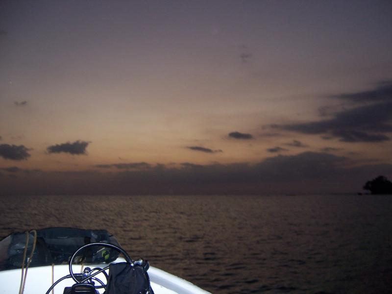 night dive