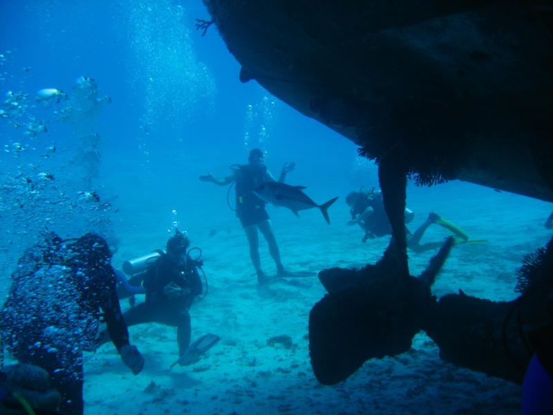 Cozumel 11/7/08