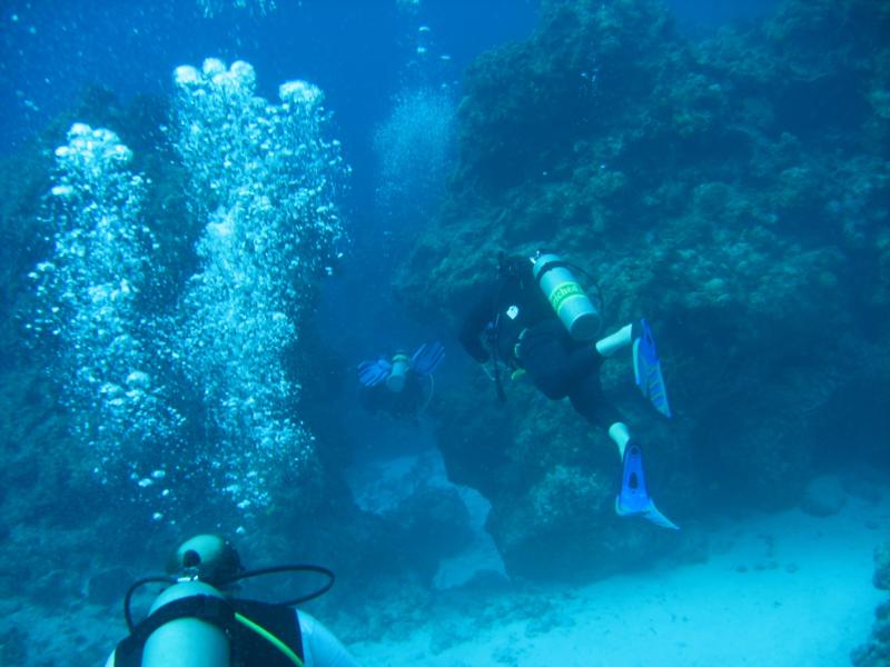 Cozumel 11/7/08