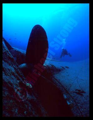 Helma Hooker, Bonaire