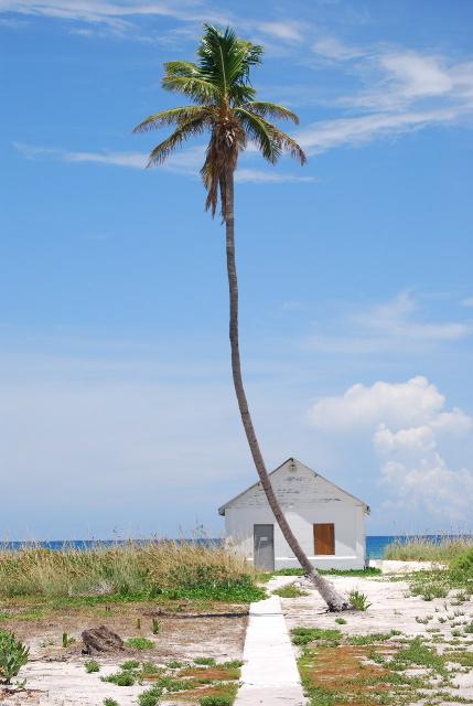 Dry Tortugas