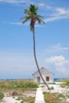 Dry Tortugas