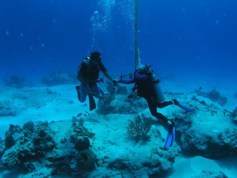 cozumel- assisting dive master