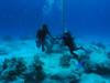 cozumel- assisting dive master