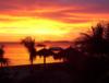 bonaire sunset-Buddy Dive Resort 
