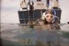 MyDaughter at Anacapa Island