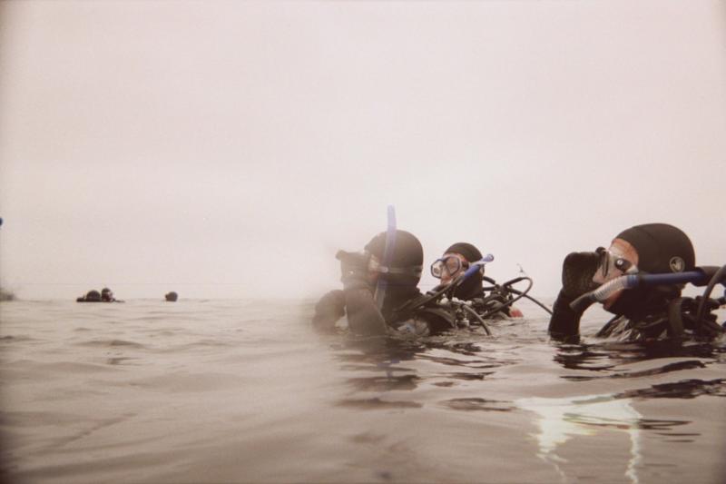 Divers at Anacapa Island