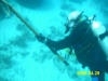 Spearfishing