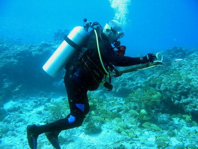 Underwater Speargun loading