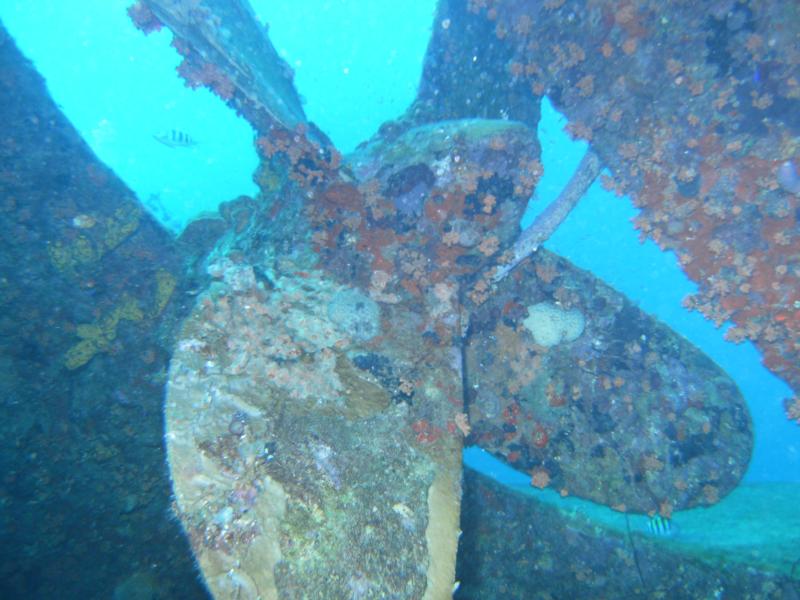 Prop of Hilma Hooker in Bonaire