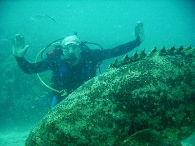 Key Largo Goliath poses with me