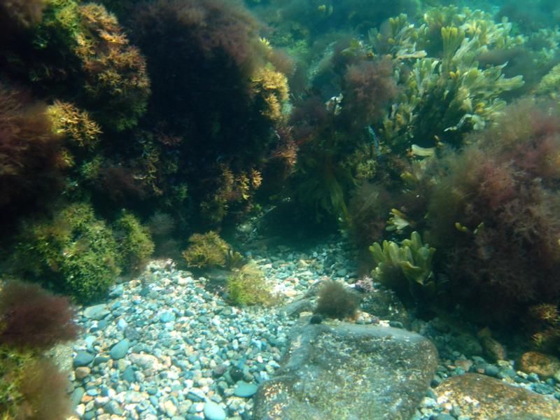 South Shore of Massachusetts