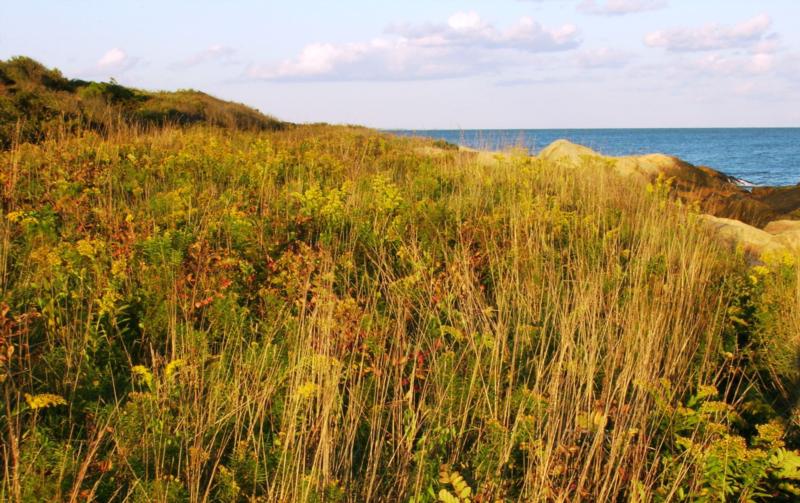 Scarborough Beach, RI