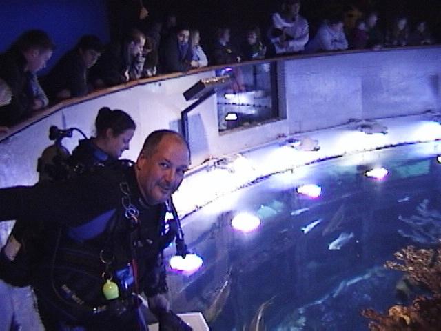 Fins On ~ New England Aquarium