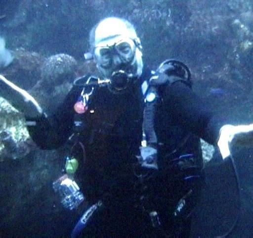 "...and awaaay we go..." - New England Aquarium