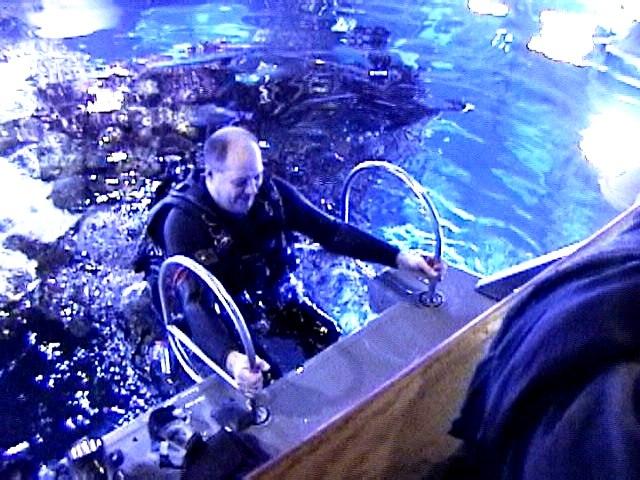 Getting Out of The Giant Ocean Tank - New England Aquarium