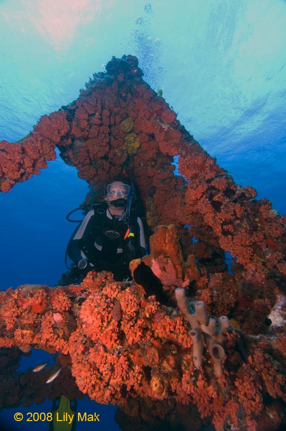 Scuba Laura on the Wit Shoal