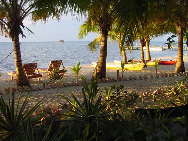 beach on Long Caye, Glover’s Reef Atoll