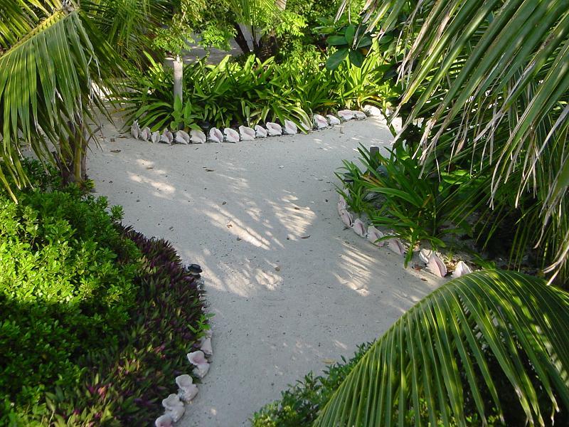 Shell lined path at Off The Wall, Glovers Atoll, Belize