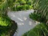 Shell lined path at Off The Wall, Glovers Atoll, Belize