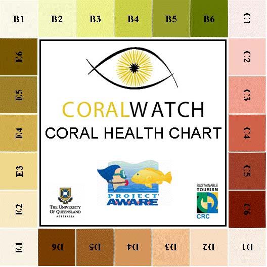 Coral Health Chart