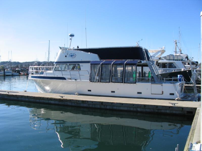 Deep Sea Charter