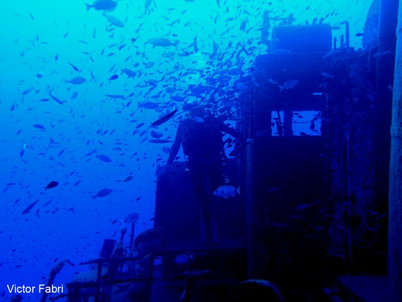 Malta Wreck - Tug Boat Rozi