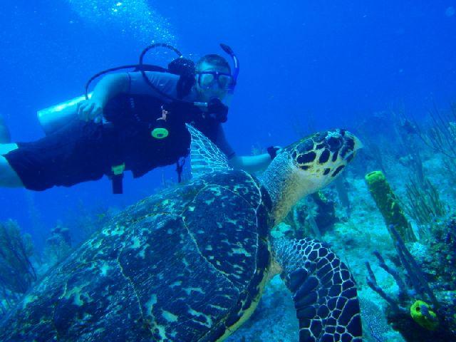 Michael and Turtle