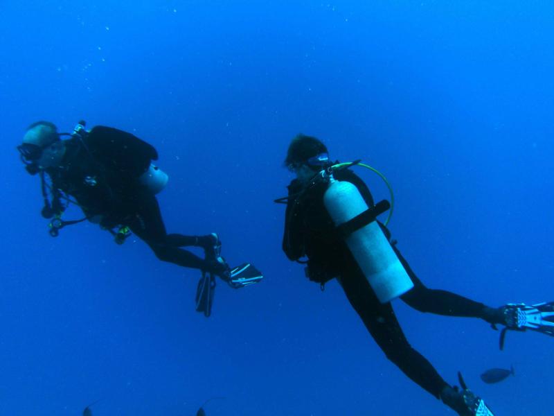 Diving Moorea