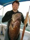 20lbs Black Grouper, Hollywood, FL