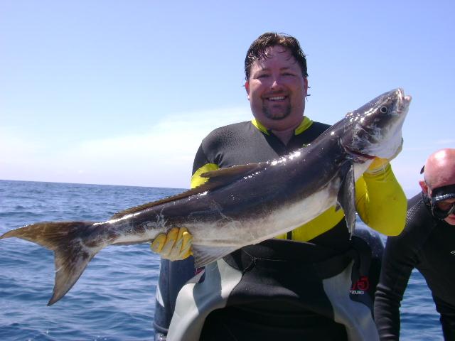 38-Inch Cobia - Pensacola