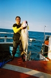 62-Pound Amberjack Dry Tortugas