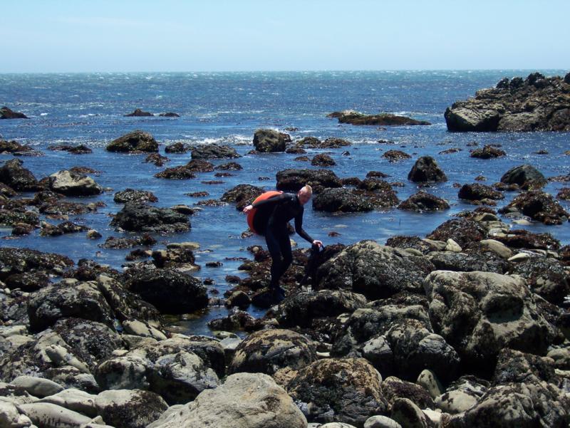 After the freedive for abalone