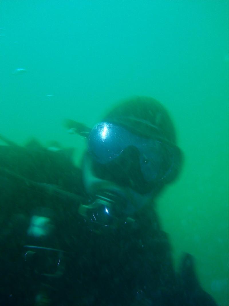 Diving at breakwater monterey