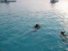 night diving in Bonaire