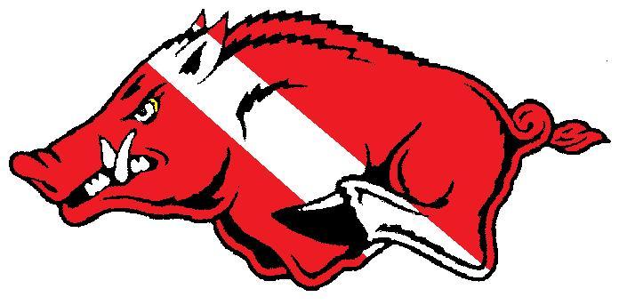 Arkansas Diver