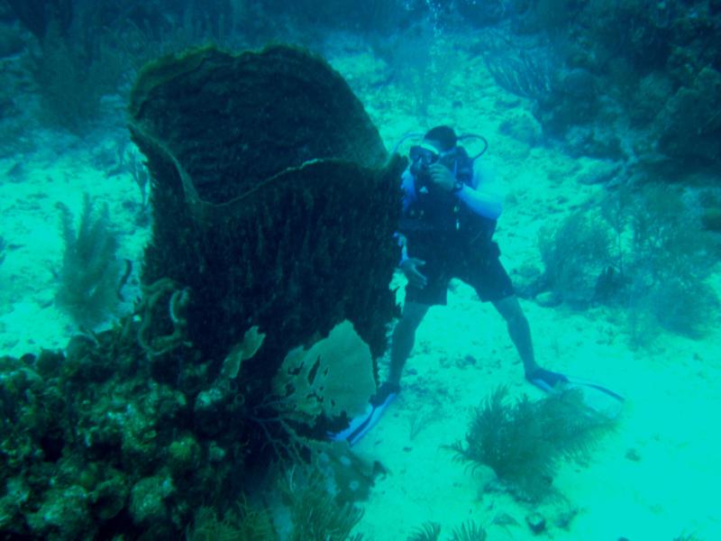 Jesse, Coco View dive guide