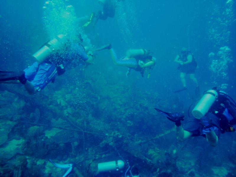 Texas Swamp Divers at Roatan, Honduras