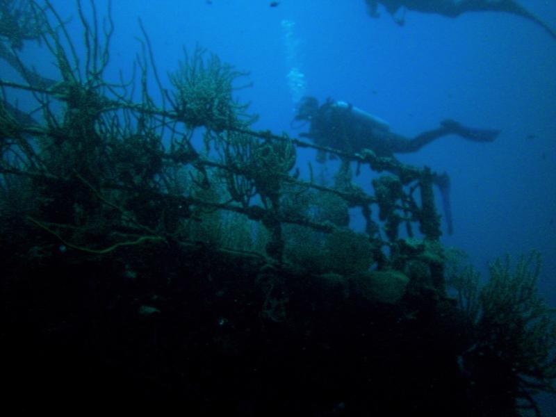 Wreck of the Prince Albert (Roatan, Honduras)