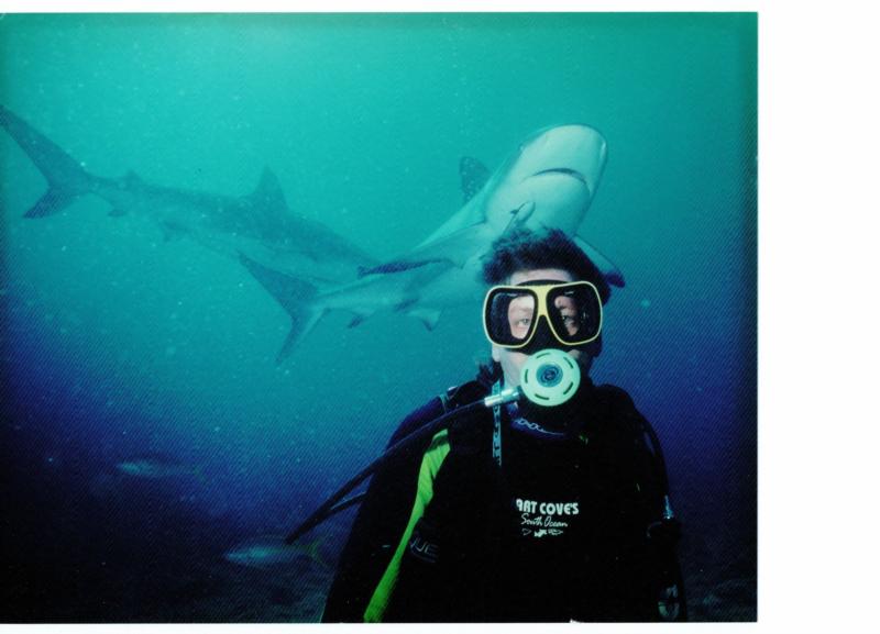 Shark Dive in Bahamas