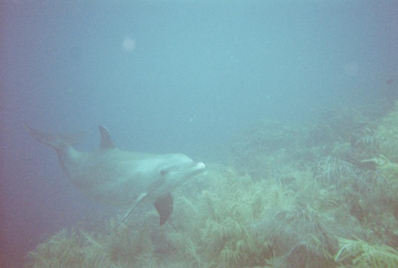 Curacao Aug 2008