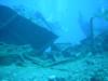 Some sunken boat in Hawaii, 80 foot dive