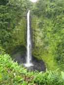 Hawaii, HI - Akaka Falls