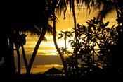 Waikiki Sunset