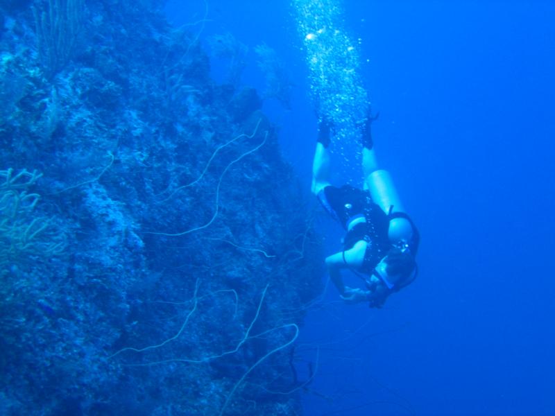 Diving the Tongue of the Ocean, 6,500 feet to the bottom- Nassau, Bahamas